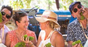 Delheim Harvest Festival