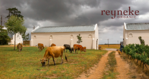 Reyneke Organic Wines