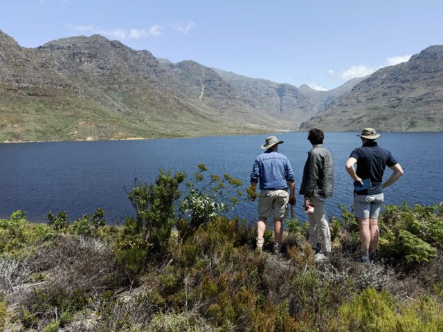 ARC of Franschhoek